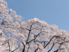 img0016.jpg