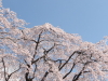 img0017.jpg
