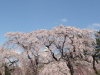 img0018.jpg