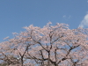 img0019.jpg