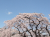img0020.jpg