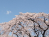 img0021.jpg
