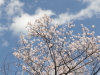 img0024.jpg