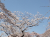 img0027.jpg