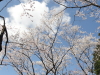 img0029.jpg