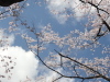img0030.jpg