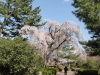 img0032.jpg
