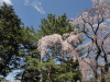 img0033.jpg