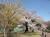 img0035.jpg