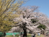 img0036.jpg