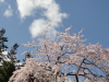 img0039.jpg
