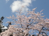img0040.jpg