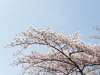 img0041.jpg