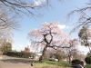 img0042.jpg