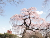 img0043.jpg