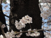 img0045.jpg