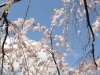 img0047.jpg