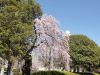 img0049.jpg