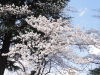 img0050.jpg