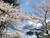 img0051.jpg