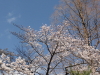 img0052.jpg