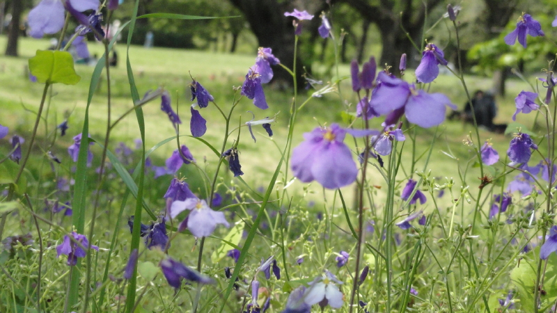 img0259.jpg