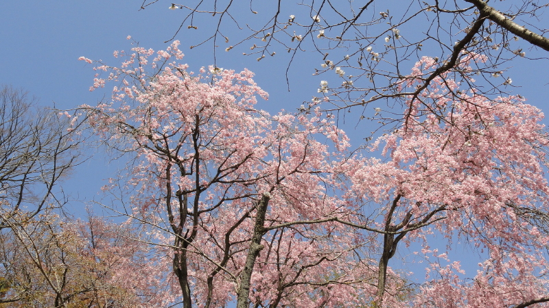 img0023.jpg
