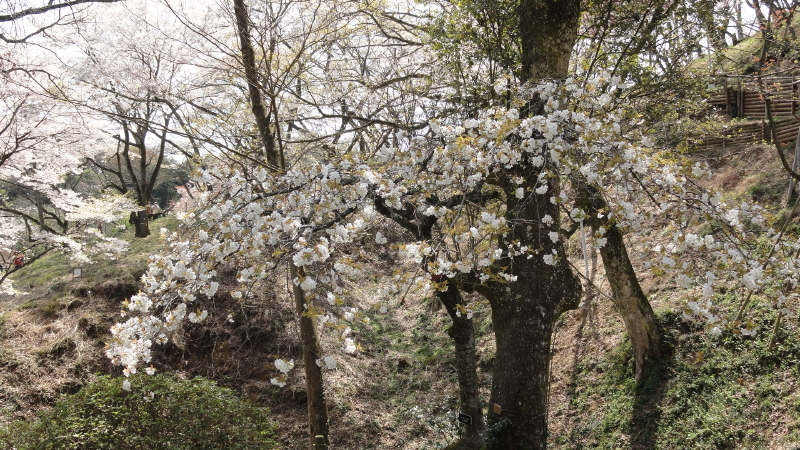 img0126.jpg