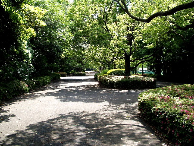 img0011.jpg