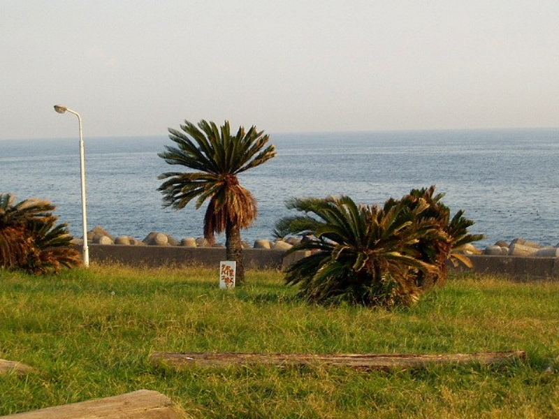img0015.jpg